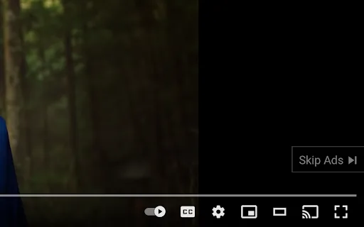 AdSkipper screenshot