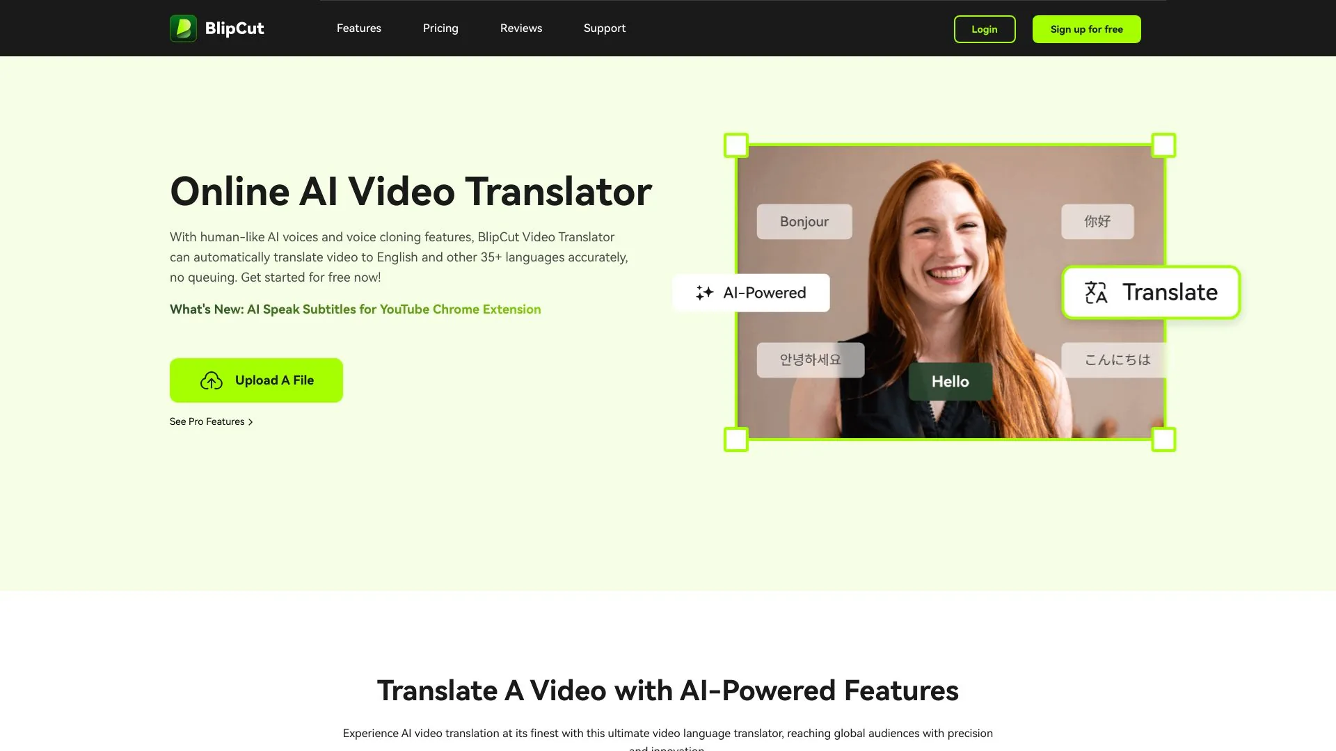 Videotranslation screenshot