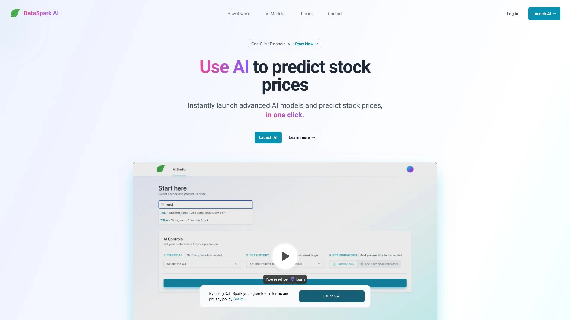 DataSpark Financial and ESG AI Platform screenshot