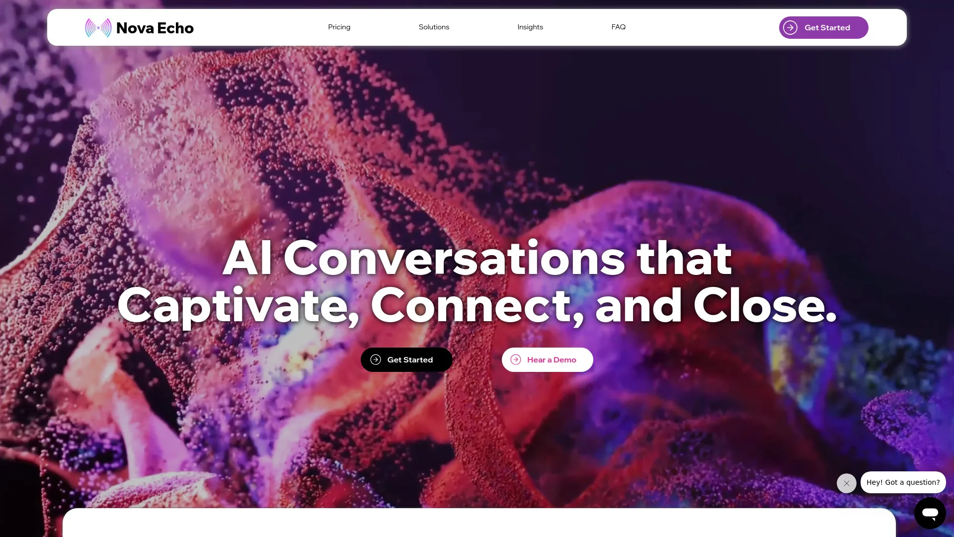 Nova Echo AI screenshot