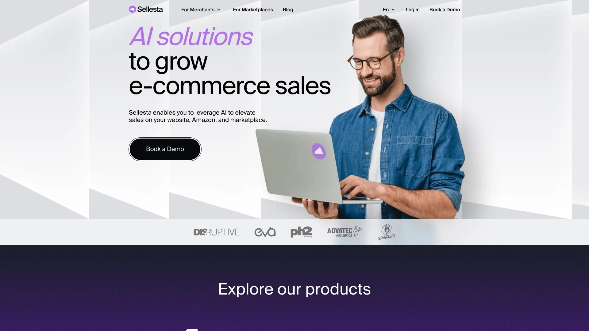 Sellesta screenshot