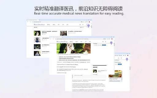 LanguageMaster screenshot