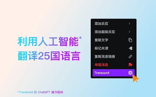 Transcord screenshot