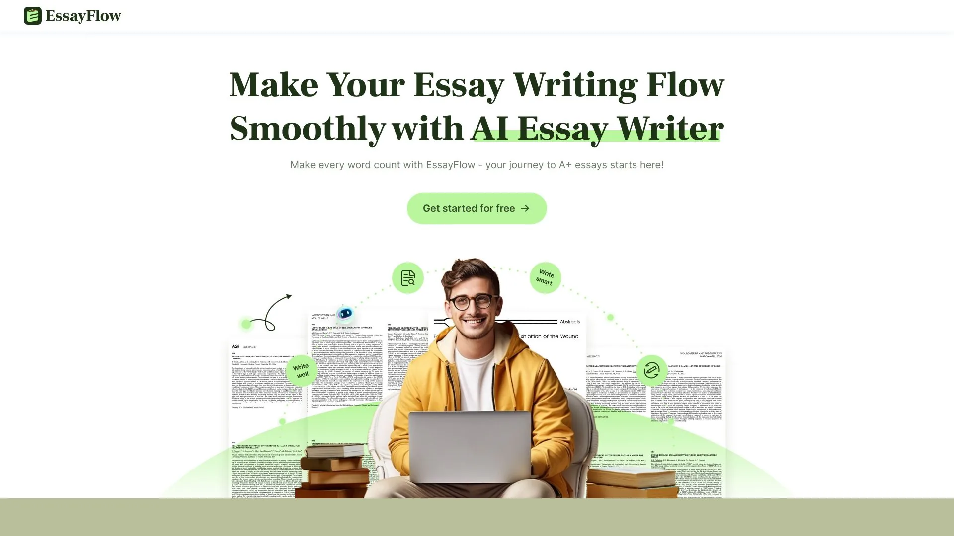 EssayFlow screenshot