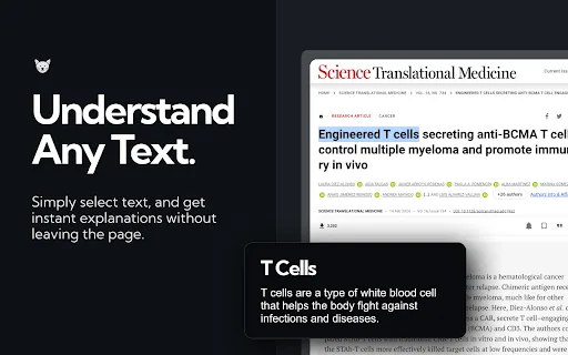 ExplainTXT screenshot