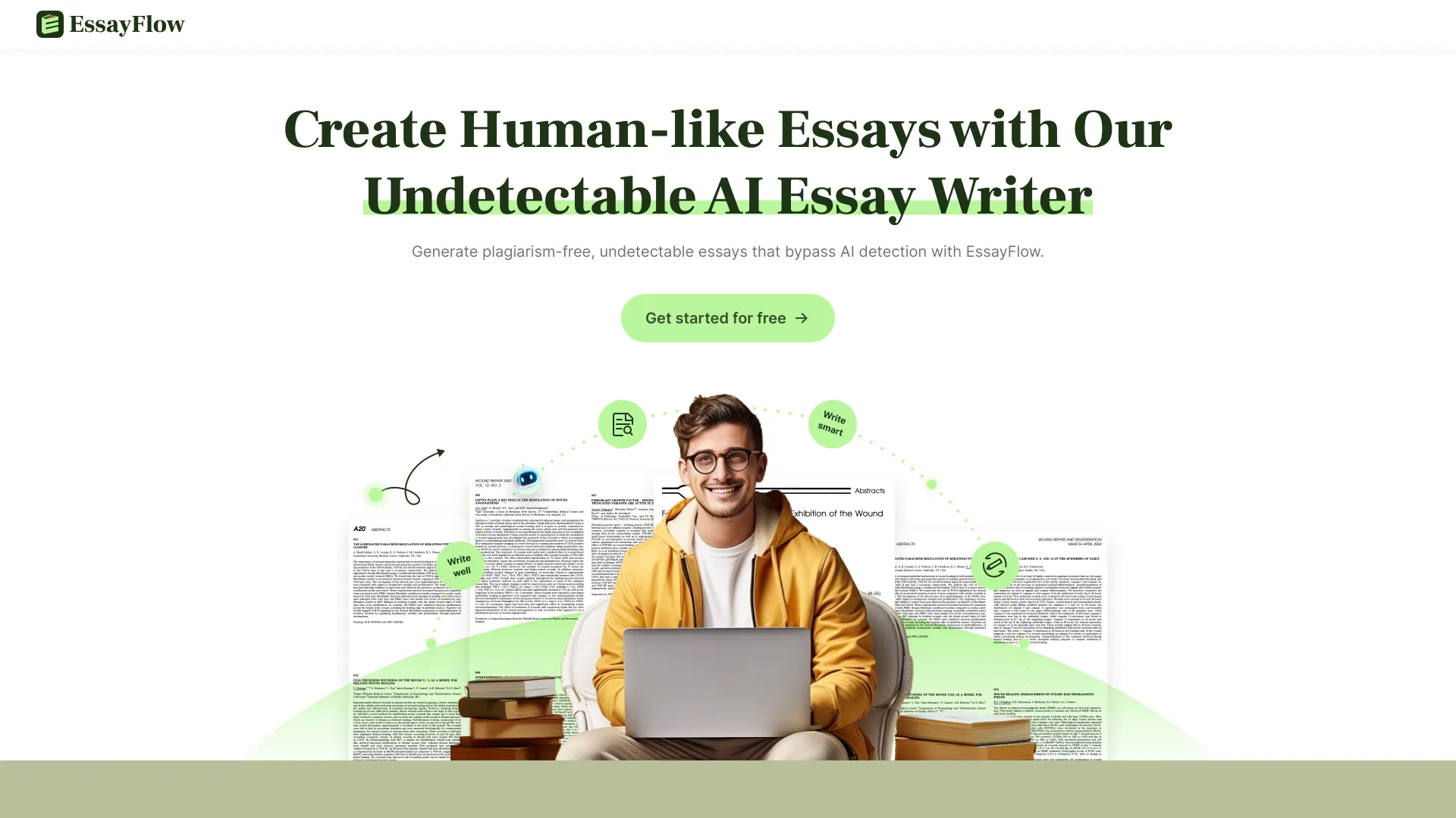 EssayFlow screenshot