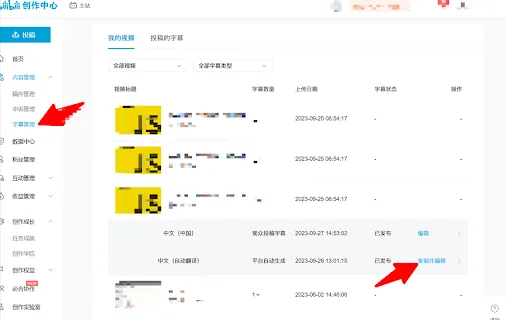 Subtitle AI Converter screenshot