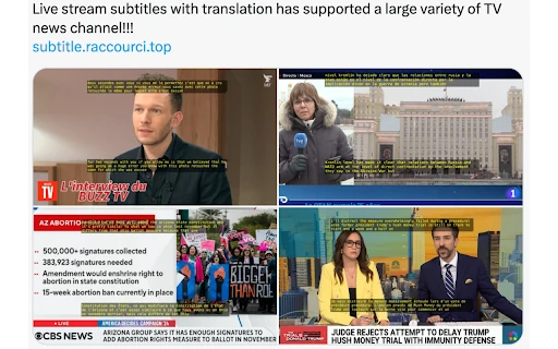 Subtitle Chrome Extension screenshot