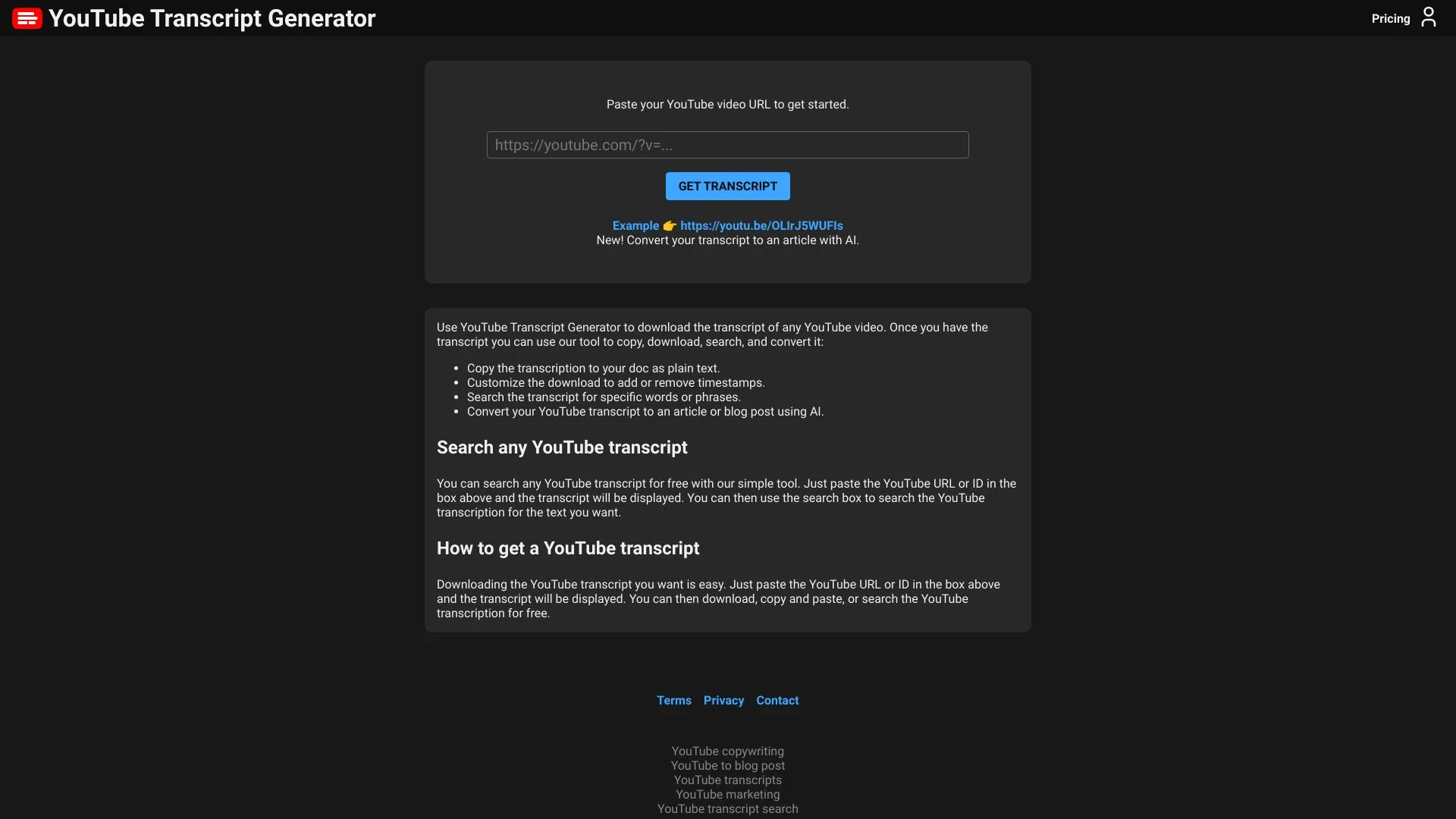 YouTube Transcript Generator screenshot