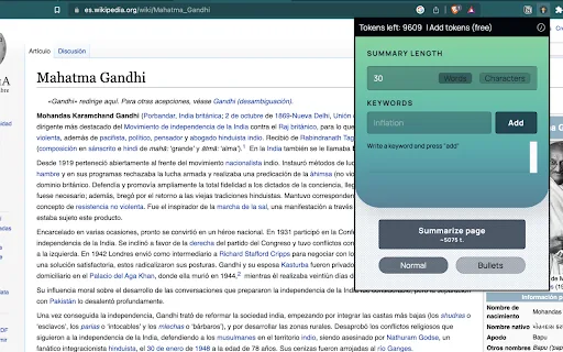 ChatGPT-3.5 Summarizer screenshot