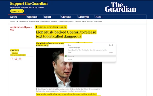 Summarize Extension screenshot