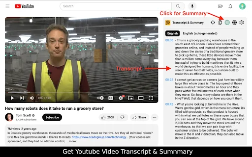 YouTube Summary screenshot