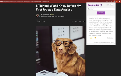 Summerize.ai screenshot