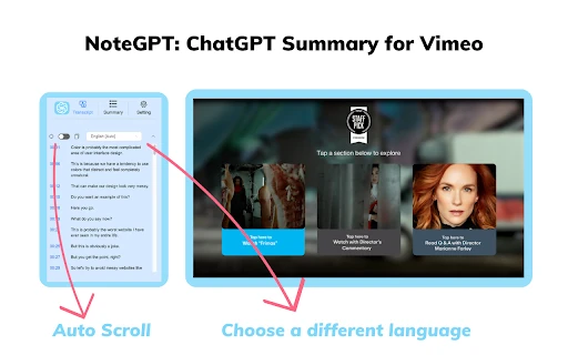 Vimeo Summary Generator screenshot