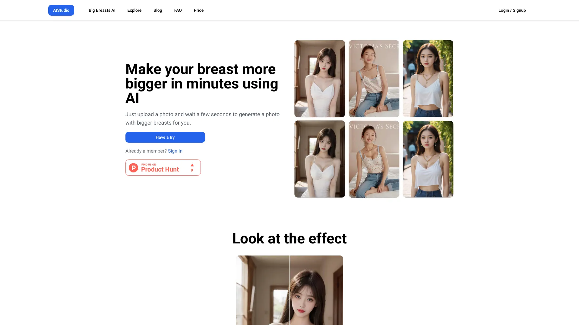 AIStudio screenshot