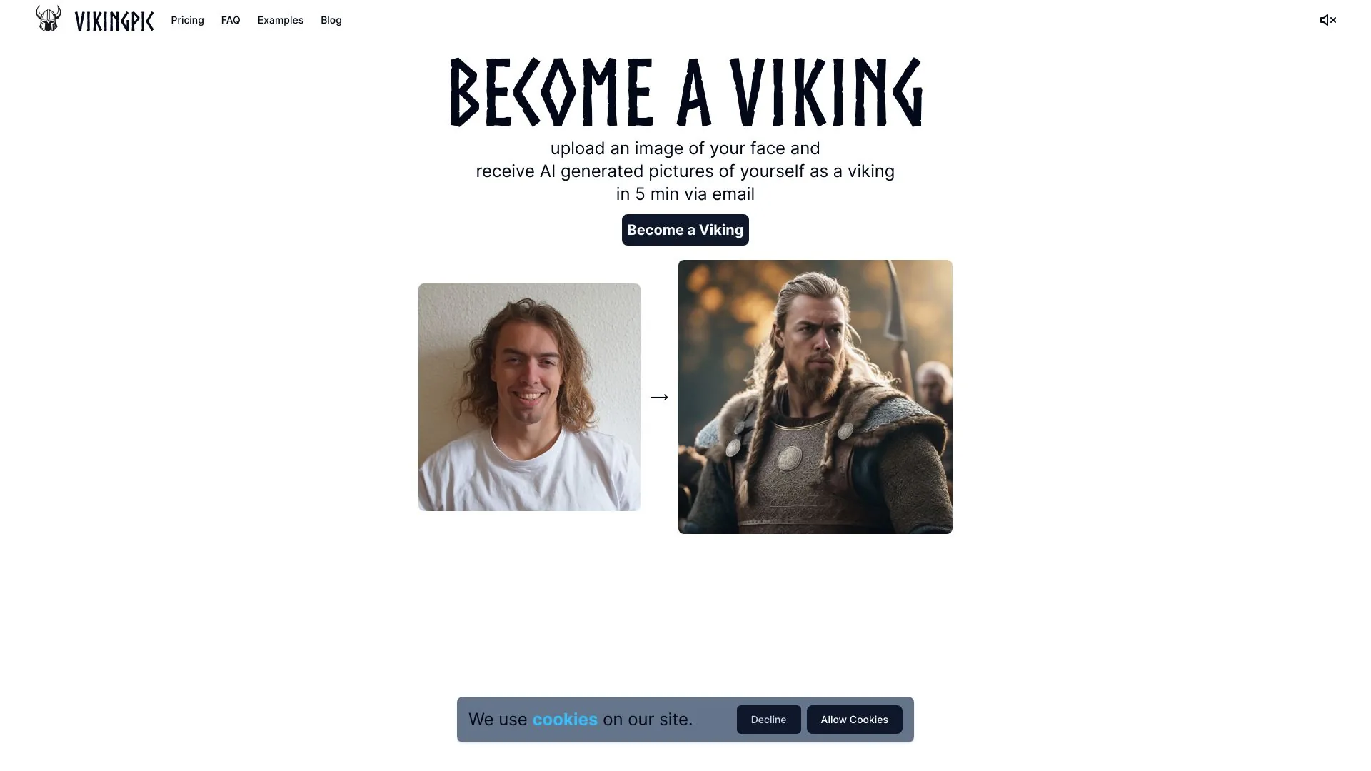 VikingPic screenshot