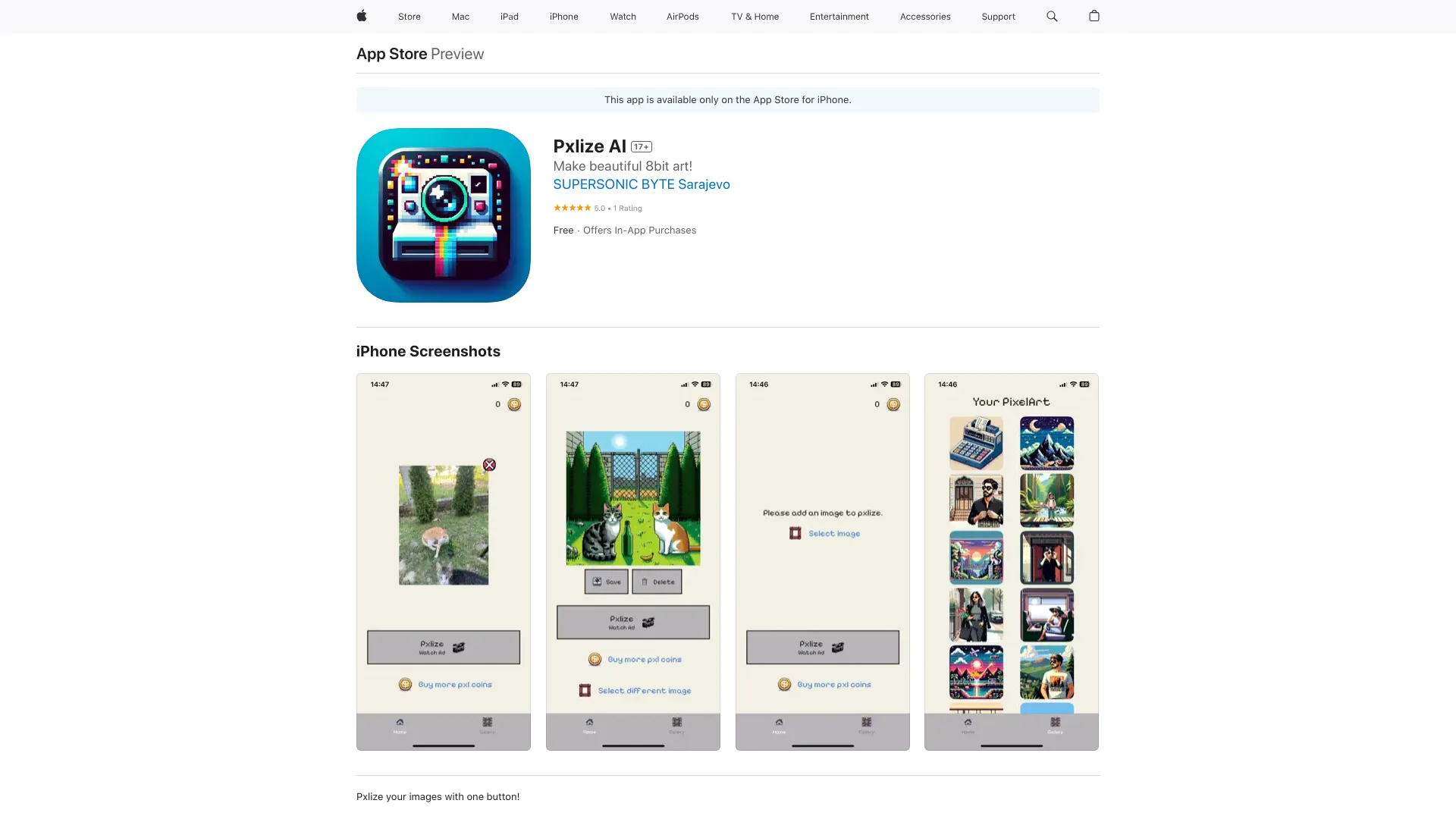 Pxlize AI screenshot