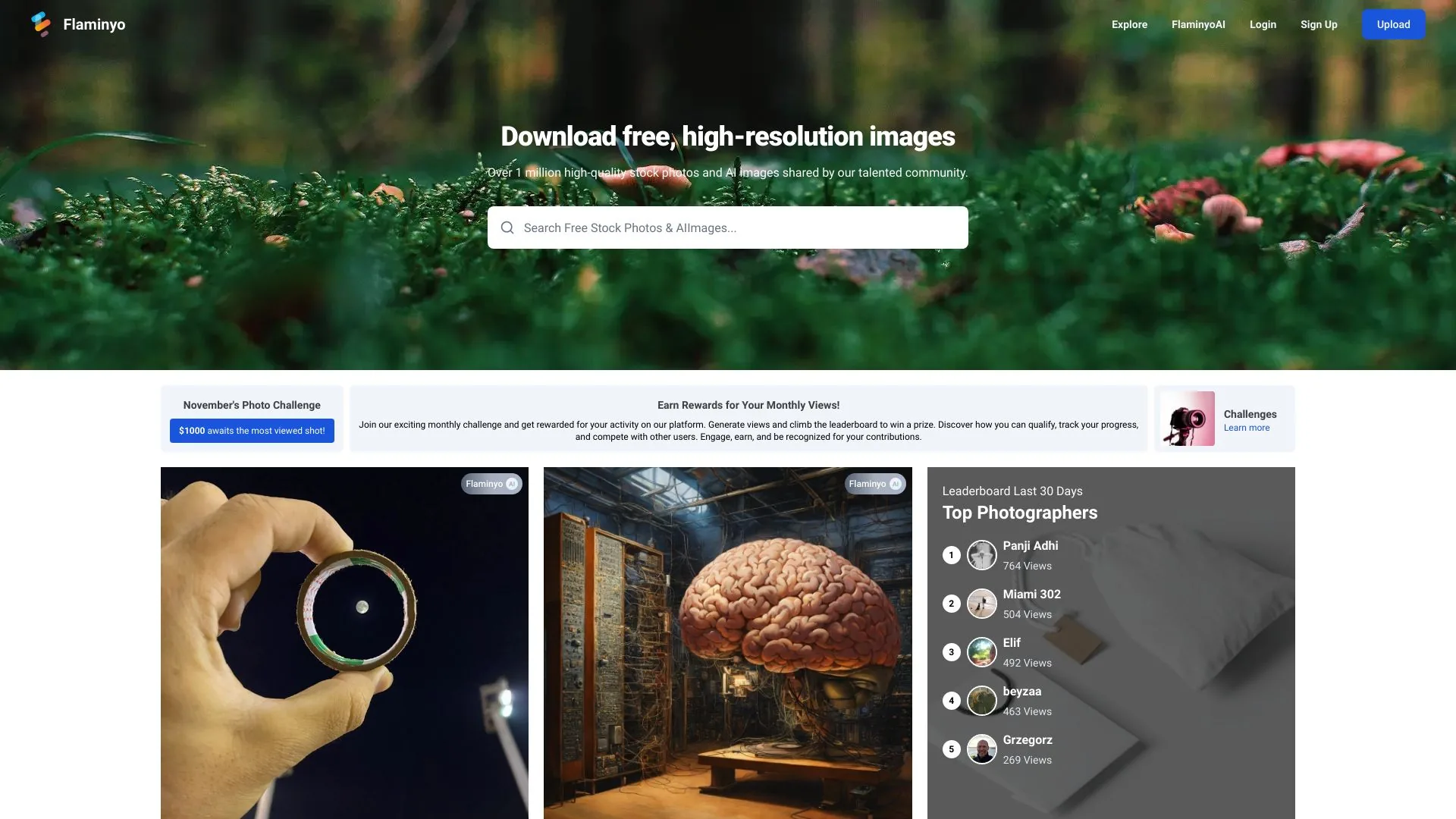 Flaminyo screenshot