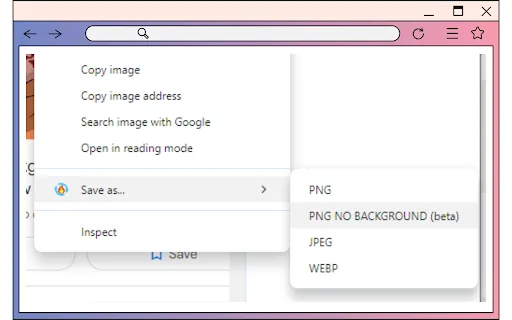 Image Background Remover & Format Converter screenshot