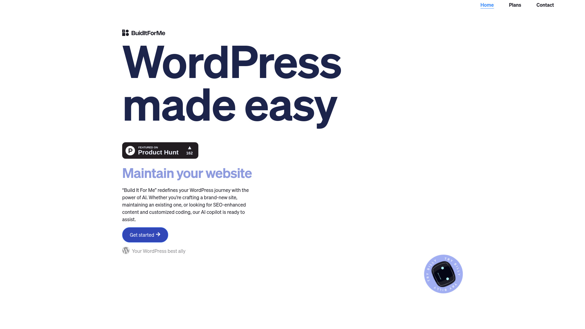 WordPress Copilot screenshot