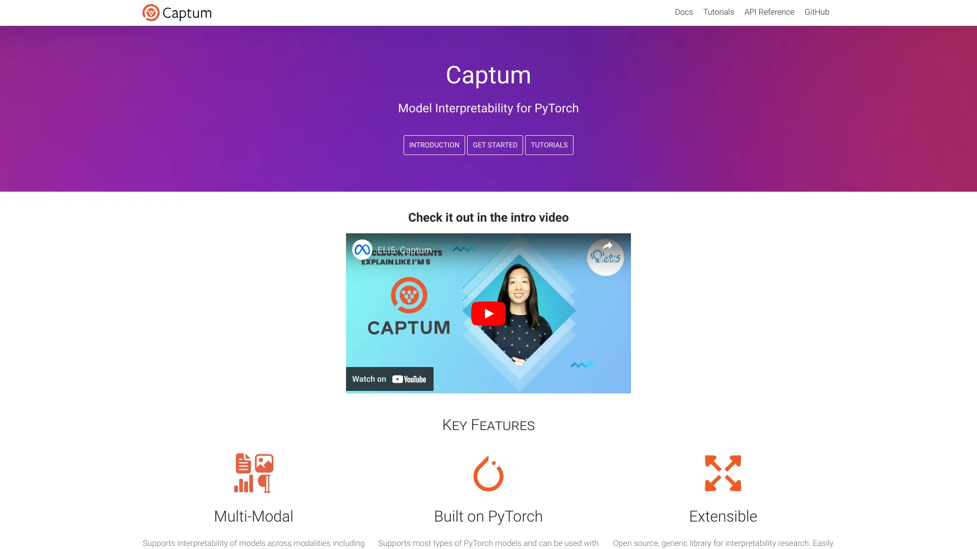 Captum · Model Interpretability for PyTorch screenshot