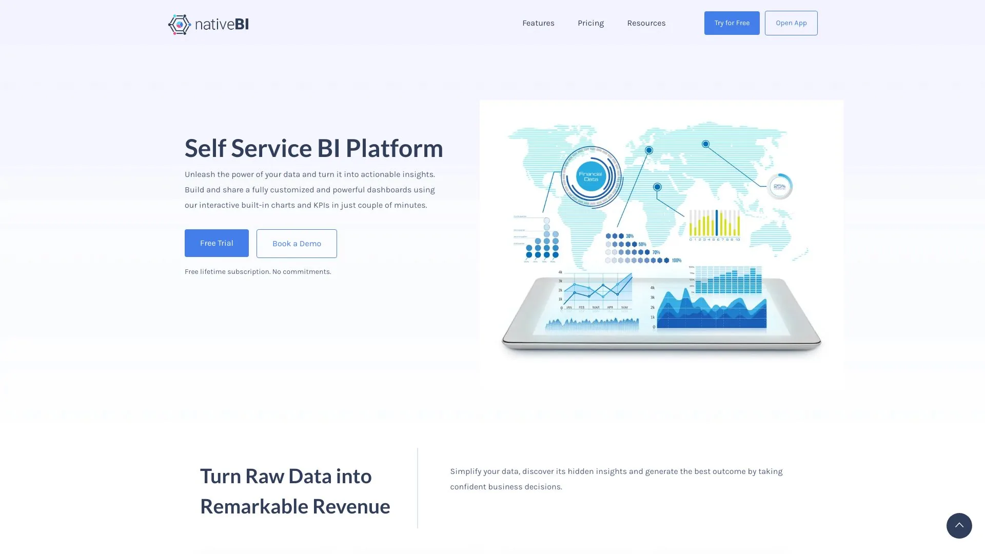 NativeBI screenshot