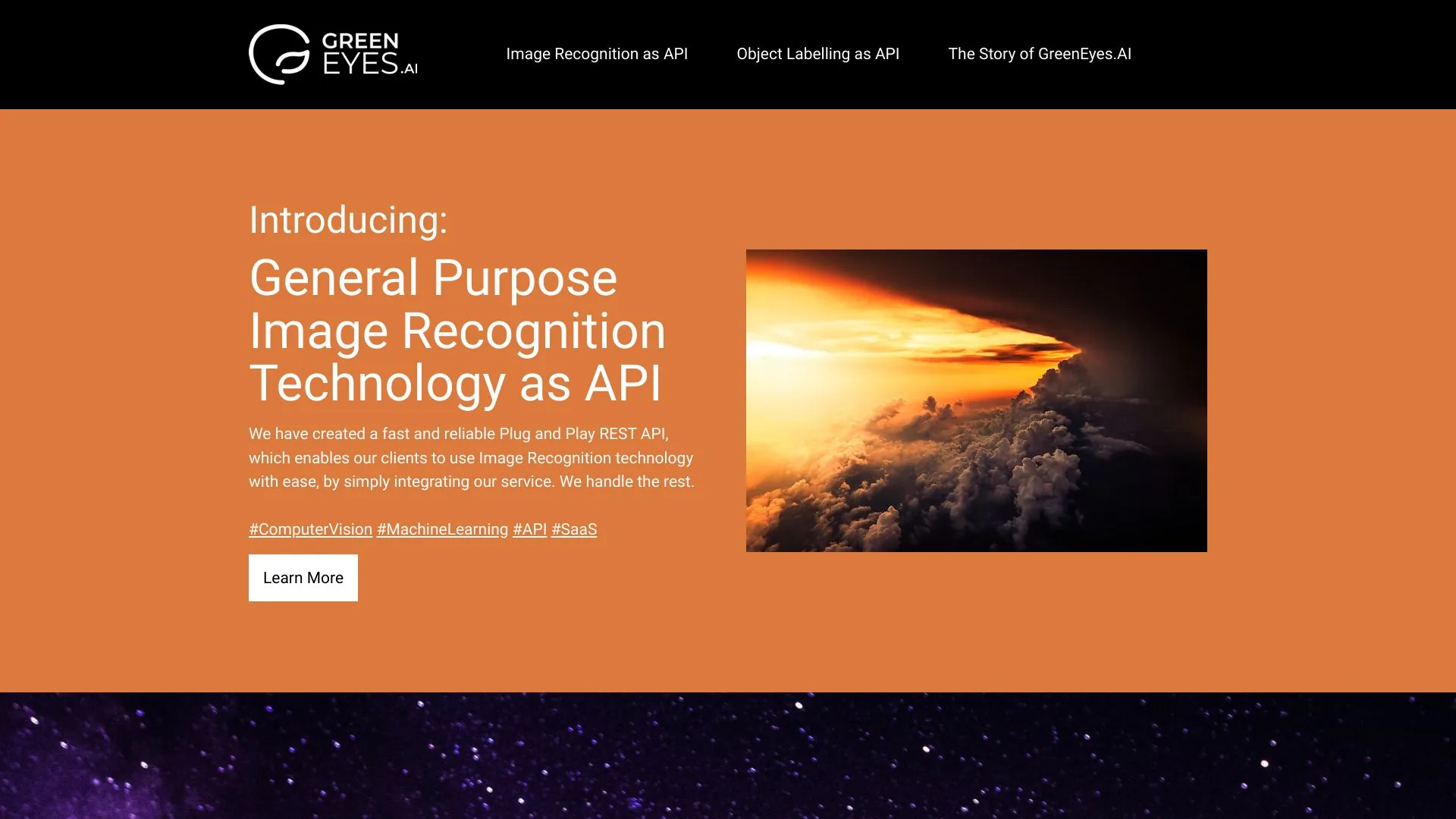 GreenEyes.AI - Computer Vision APIs and Products - GreenEyes Artificial Intelligence Services LLC. screenshot