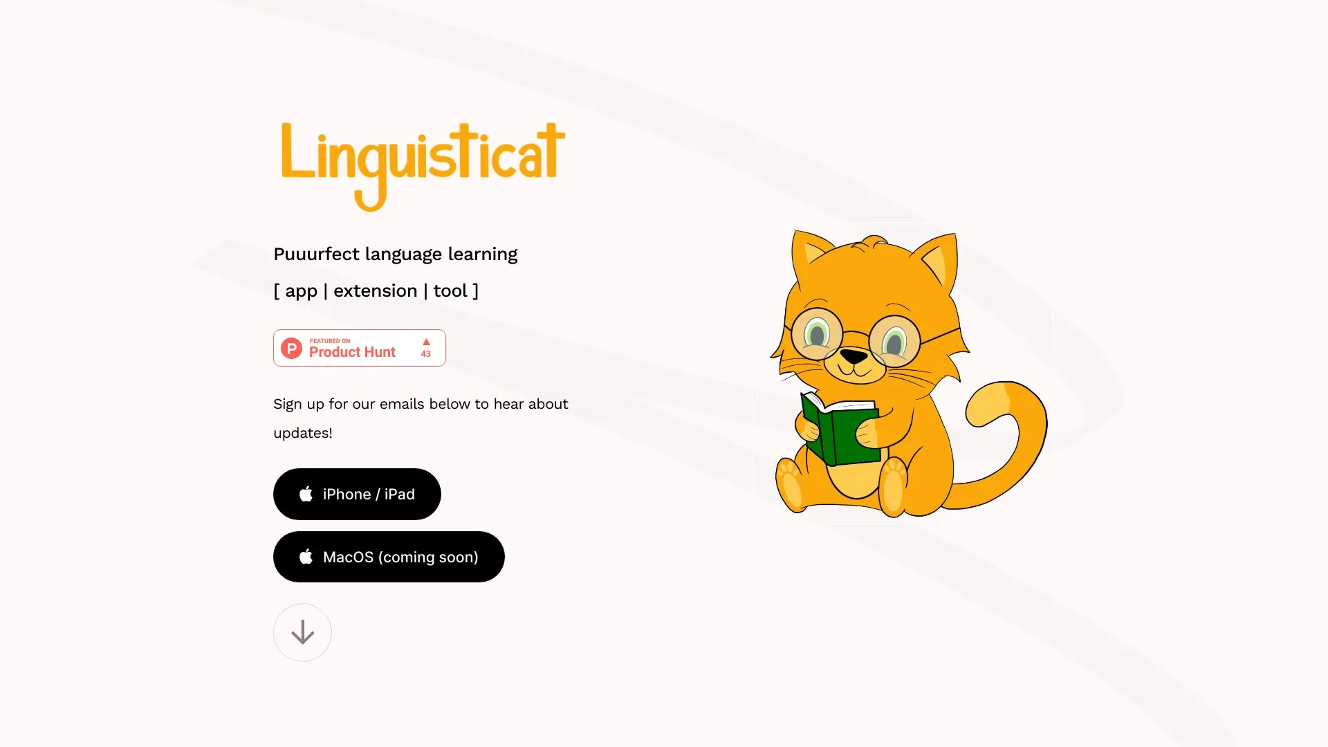 Linguisticat screenshot