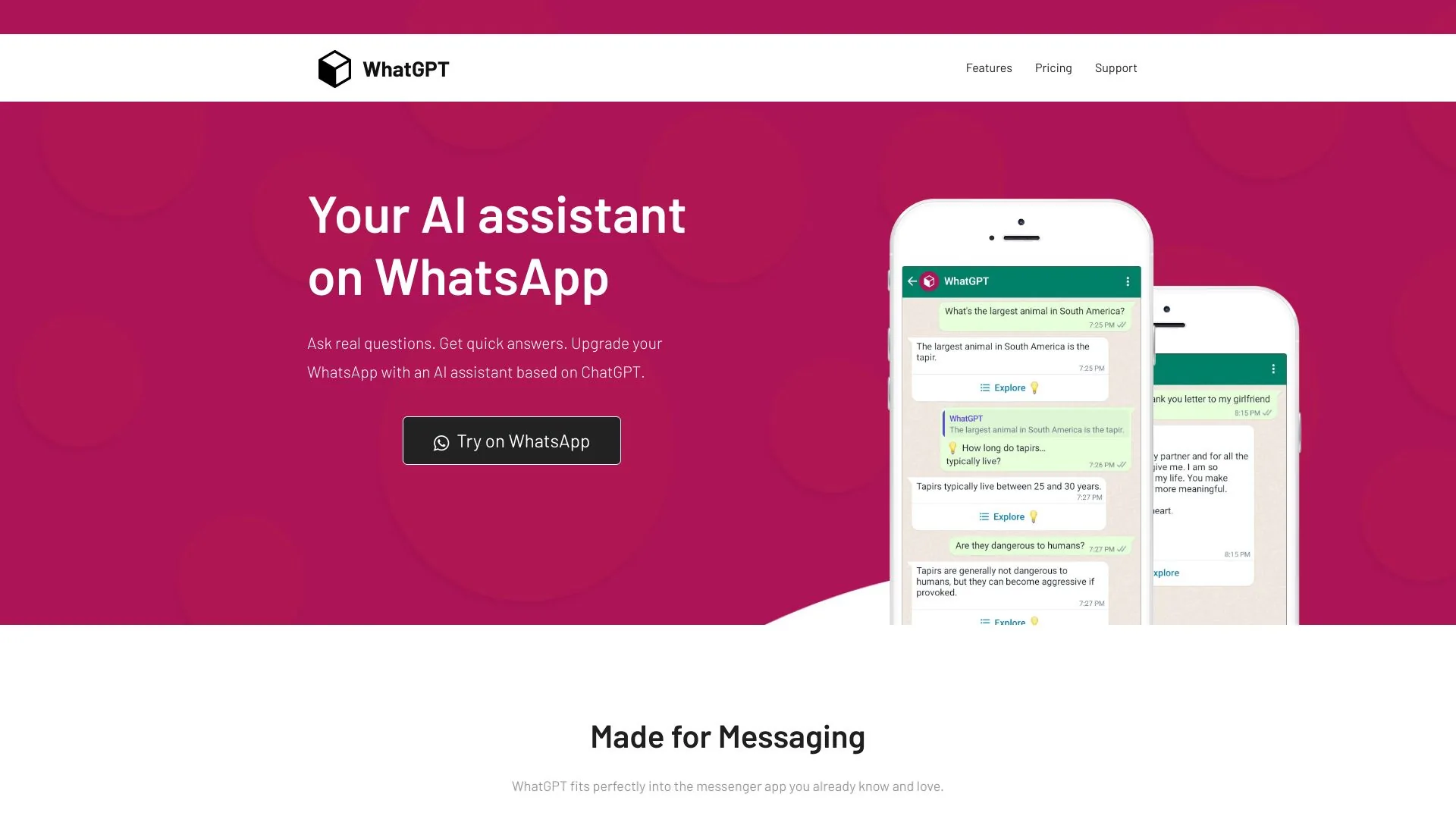 WhatGPT screenshot