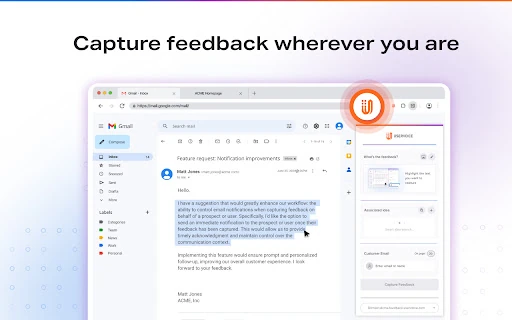 UserVoice Feedback Extension screenshot