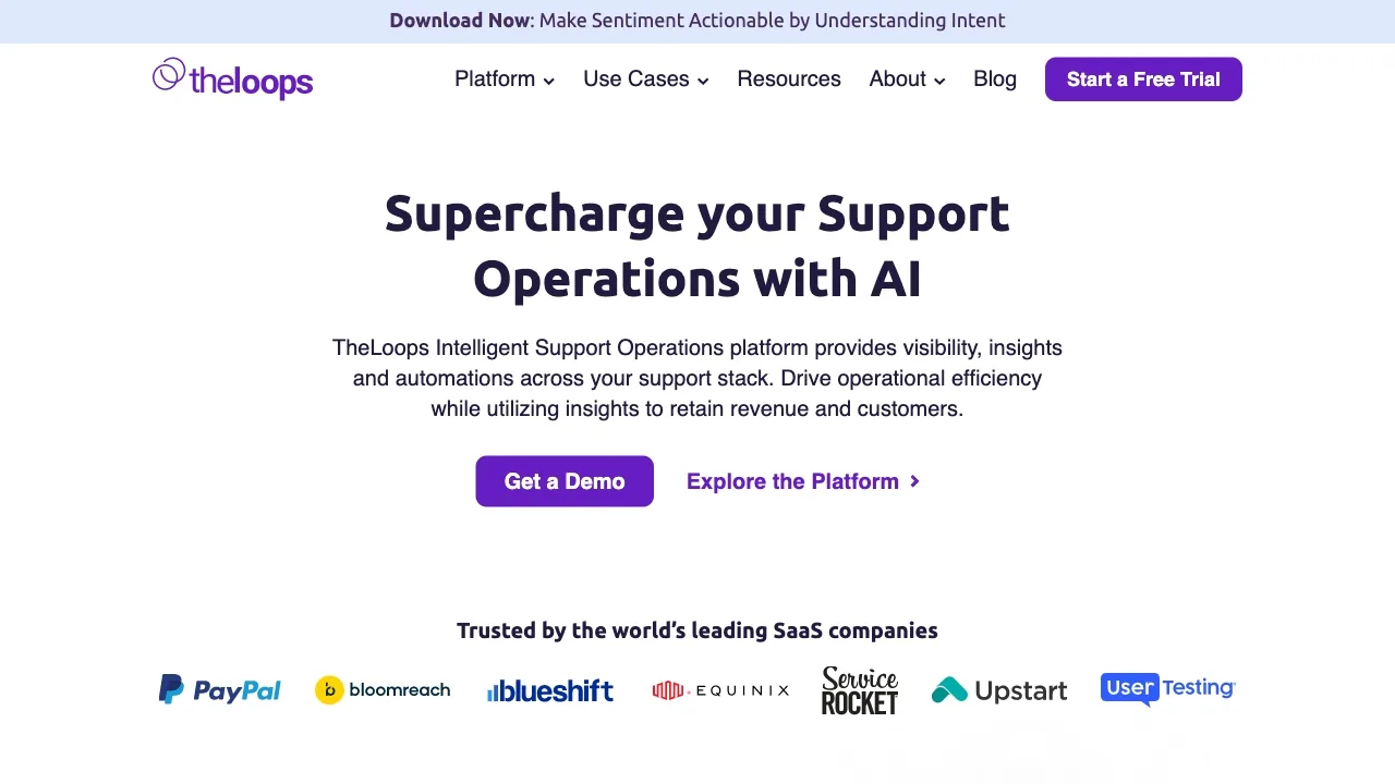TheLoops AI for CX screenshot