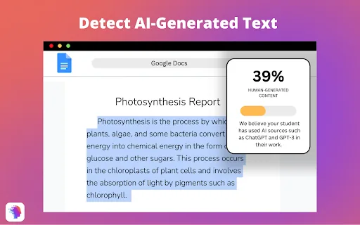 Plagiarism Detector screenshot