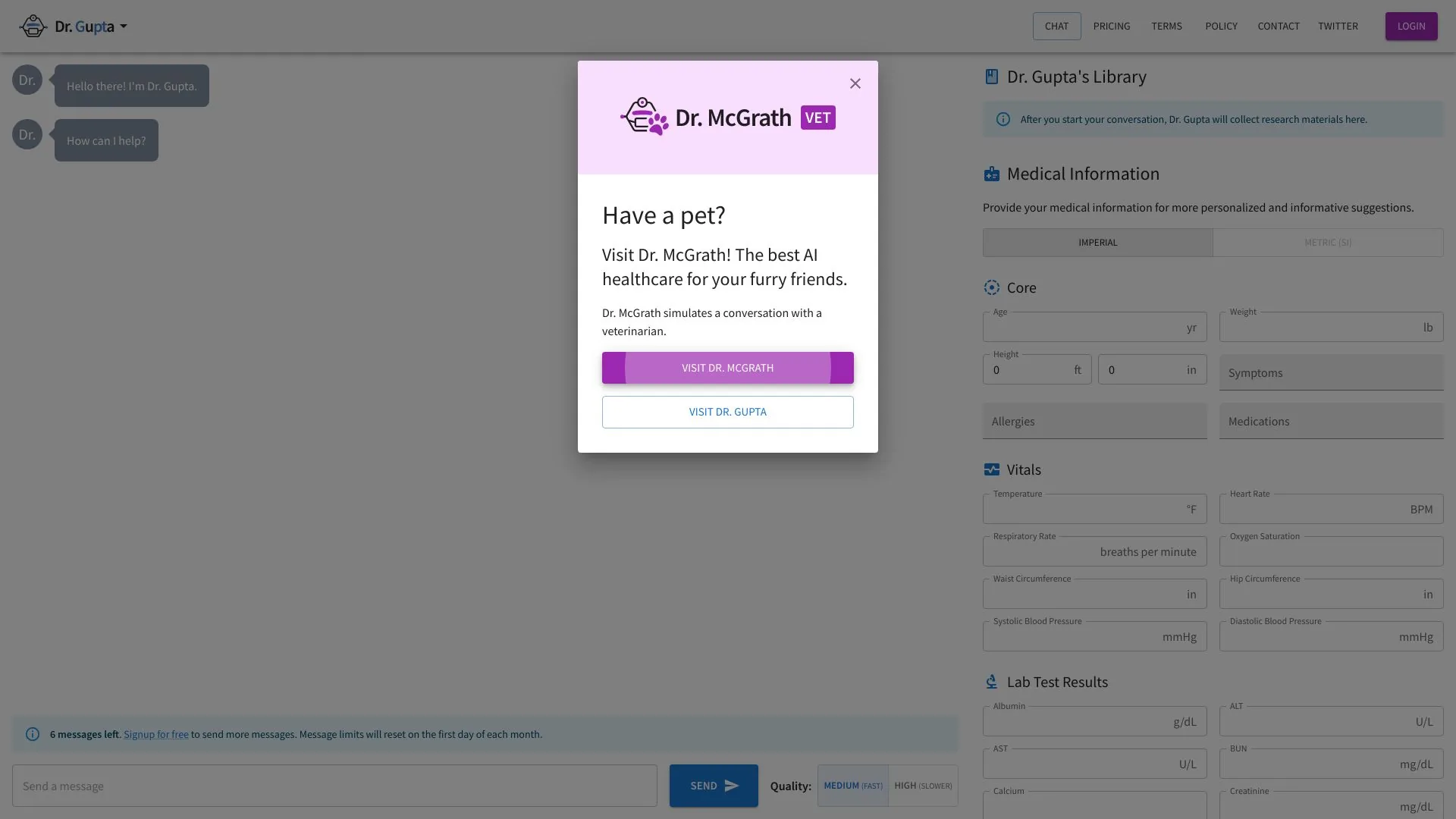 Dr. Gupta: AI Physician Chatbot screenshot