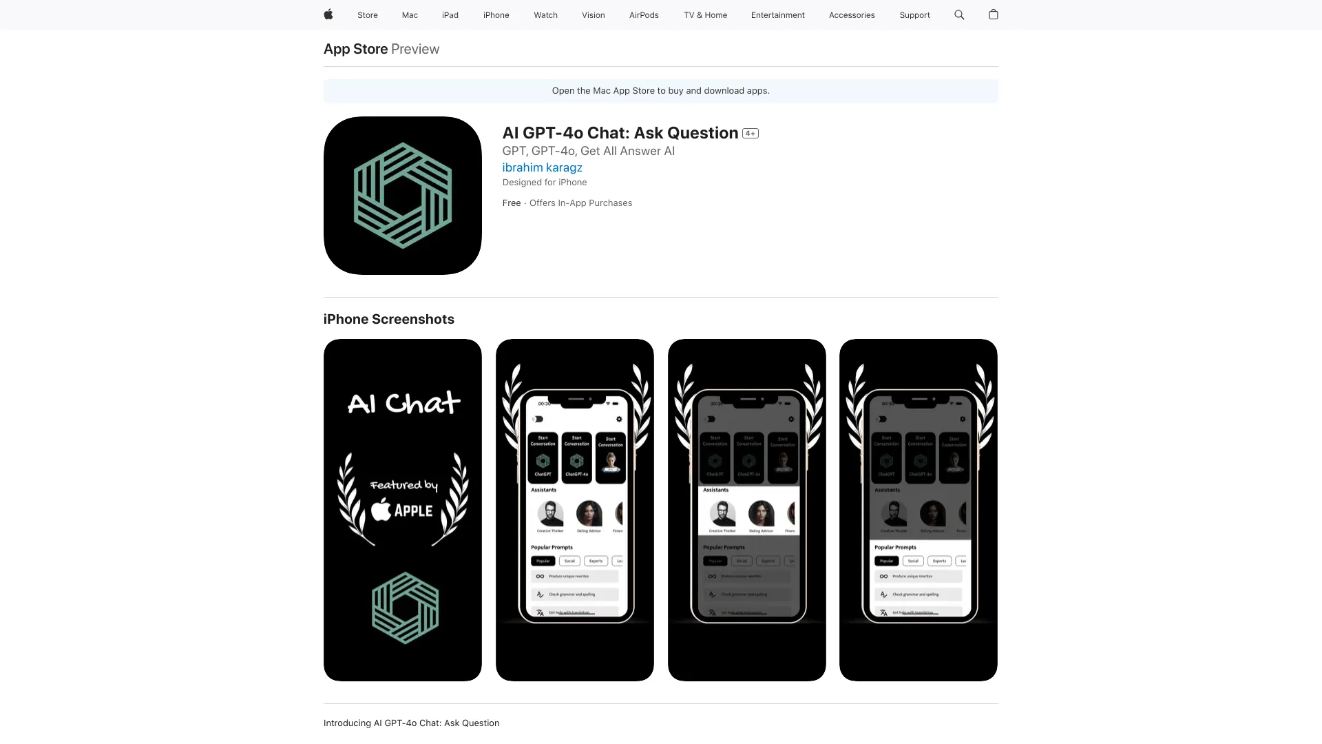 Ask Fast Questions Bot screenshot