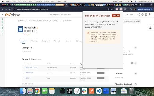 ChatGPT Alation Extension screenshot