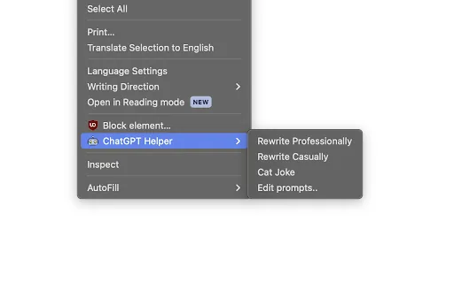 Chrome ChatGPT Helper screenshot