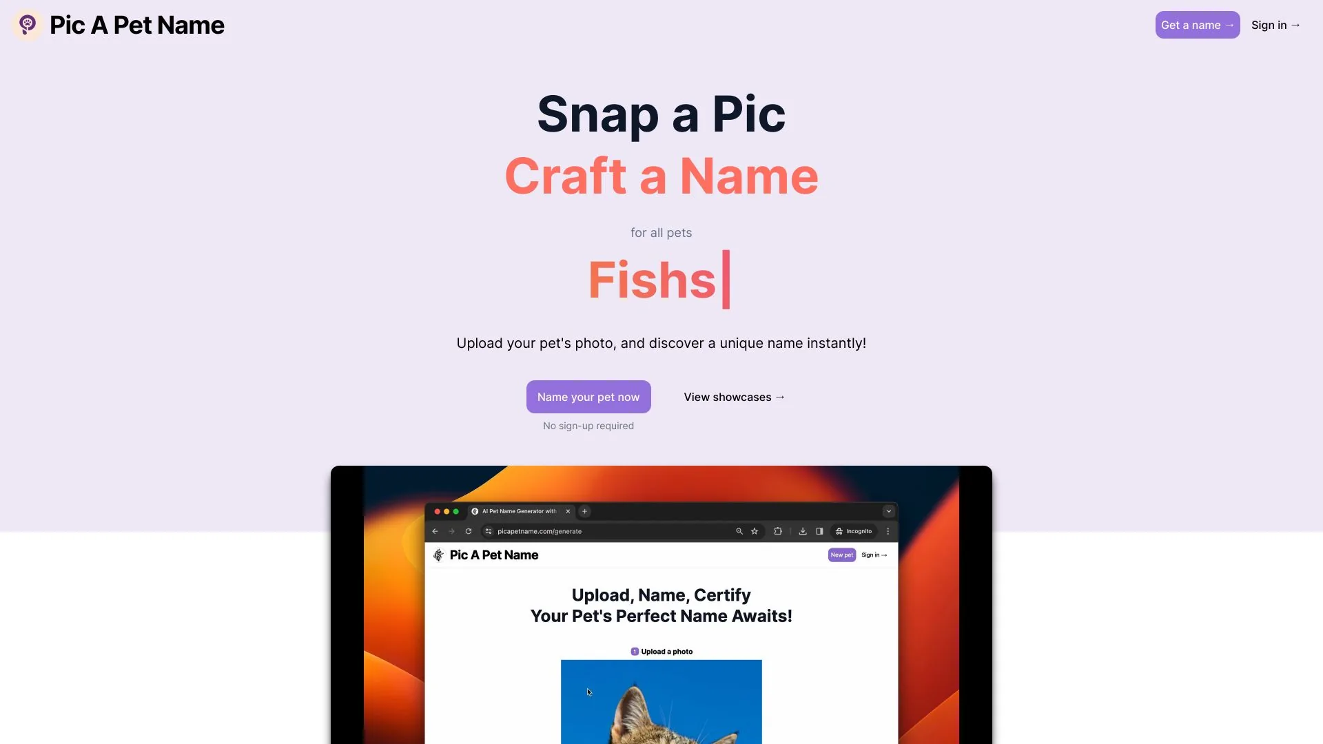 Pic A Pet Name screenshot