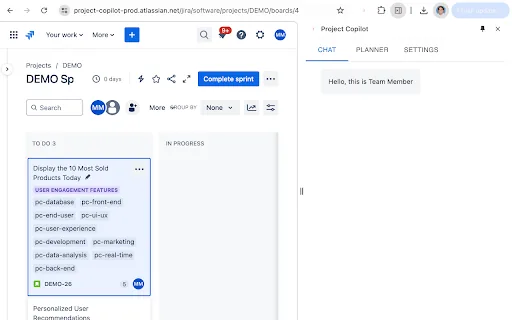 Project Copilot Team Member screenshot