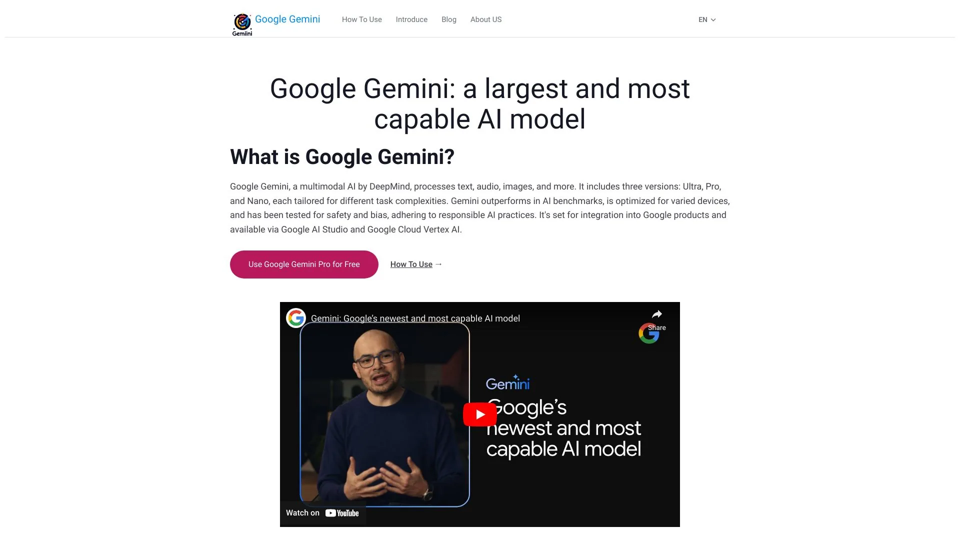 Google Gemini Pro screenshot