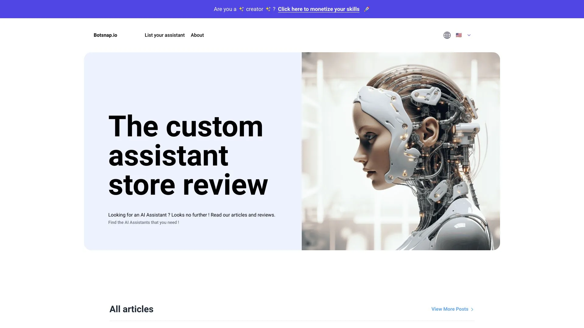 Botsnap.io screenshot