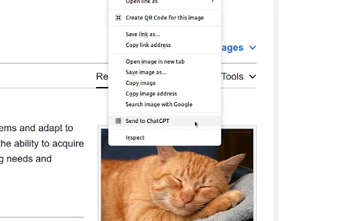ChatGPT Xtra screenshot