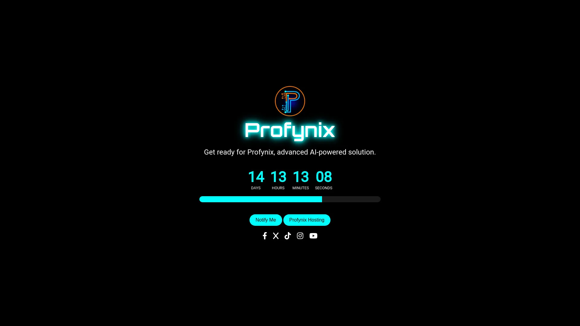 Profynix screenshot