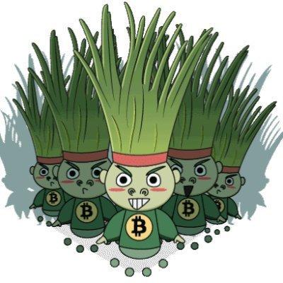 Solana Blockchain logo