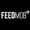 Fm MCP Servers logo