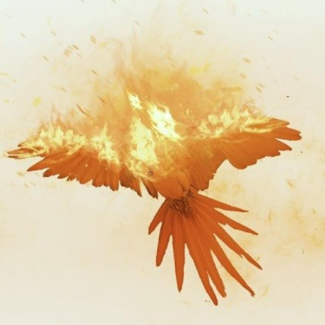 MoviePilot-MCP logo