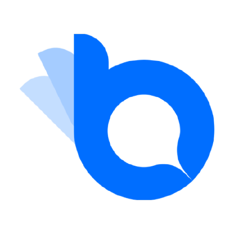 Bocha Search logo