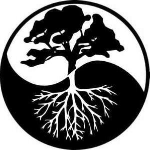Nvd MCP Server logo